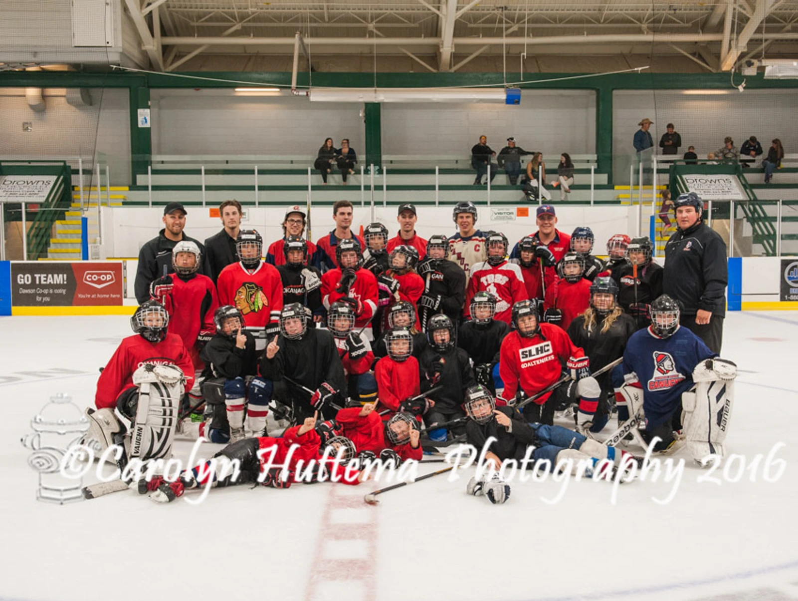 Successful Hockey School